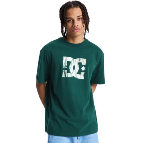 Remera MC H DC Star Filled HSS