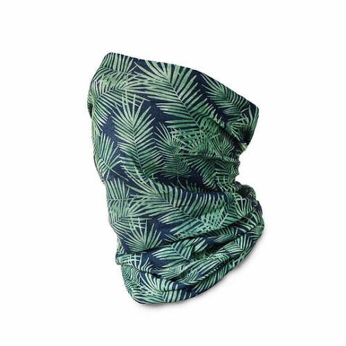 Cuello Palms