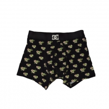 Boxer H Woosley Flowers, ROPA INTERIOR Dc