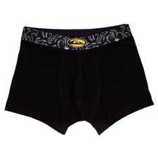 Boxer H Printed Waistband, ROPA INTERIOR Quiksilver