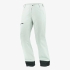 Pantalón Snow D Charger GTX 2L C22807 