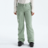 Pantalón Snow D Freedom Insulated NF0A5ACY 