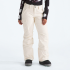 Pantalón Snow D Freedom Insulated NF0A5ACY 